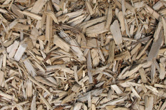 biomass boilers Vastern